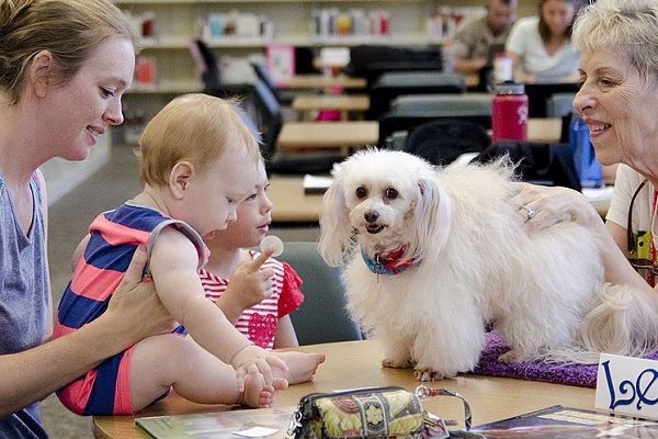 1200px-Telling_a_tale_with_a_tail_150722-M-TH981-011